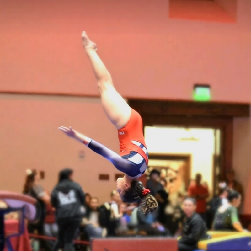 Lili's Gymnastics 💖